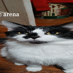 epic arena
