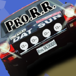 Professional Rally Racing