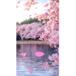 The pink kitty