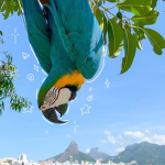 ~ Țhè çħíłł ğřòúp ~