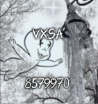 VXSA STARSヤ