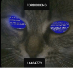 FORBIDDENS