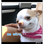 Yktv_keisha