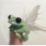 Froggo Mushroom