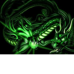 dragin warriors