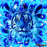 -New York Blue Tigers-