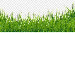 jump off a spawn location to touch grass