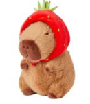카피바라 찍!