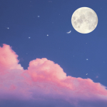Moonie’s current Giveaways