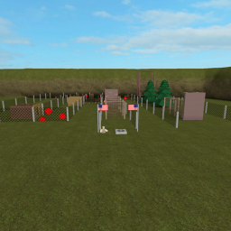 Training Zone