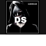 DEM'ON SLAYER'S