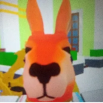 CANGURU LAND