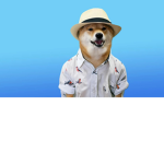 TheAliveDoge offical fan group