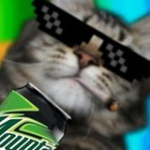 league of cats