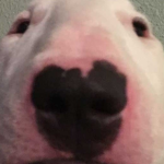 Sactum Vergorun