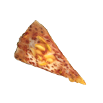 Pineapple Pizza