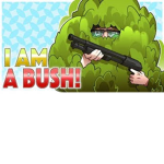 The Bushes...
