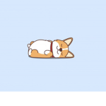 The Cute Corgis