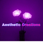 Aesthetic Creations
