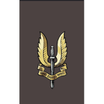 BA Eagle Squadron (REDACTED)