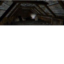 the attic boy