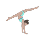 + Blue Coral Gymnastics +