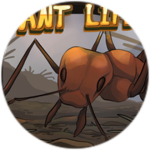 Ant Life | The Levionton Colony