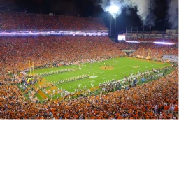 Clemson Tigers icon