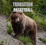 Transition Basketball | Community
