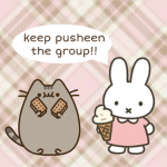 *:･miffy fanclub