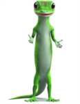Geibloxx ™
