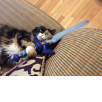 Super patches club! (My cats club)
