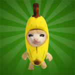 grupo de banana cat
