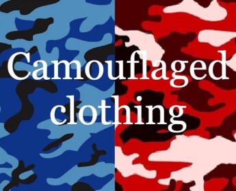 Camouflaged Clothing store 