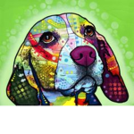 Beagle Clothing™