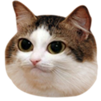 Po0k's 700 Player Game