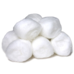 Great Cotton Kingdom