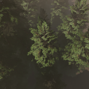 Forest Part 2