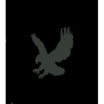 USMC (Diamond Studios)