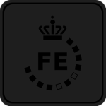 ﹝Forsvarets Efterretningstjeneste﹞