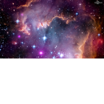 PESTOPAIN.IS.AMZING