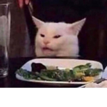 Cat likers group .,.