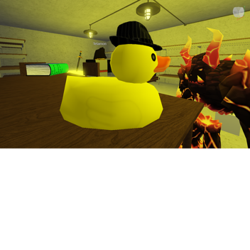 chickens basement...
