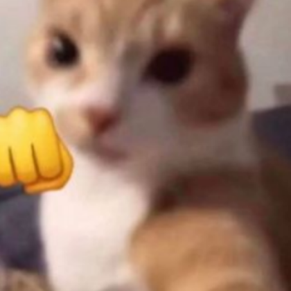 cat punch Roblox decal