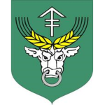 Gmina rudniki