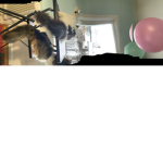 Happy group :D my crazy cats is on the picture :)