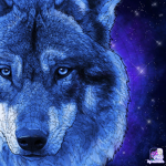 Midnight dancers ( wolf ) pack