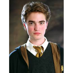 Cedric Diggory Sanctuary