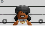 15k_jordan11