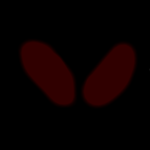 The Void Planet